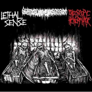 http://www.dyingmusic.com/shop/img/p/2101-2422-thickbox.jpg