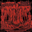 Morbid Perversion / Insolitum - Abysmal Necro Alliance