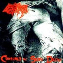 Gore - Consumed by Slow Decay