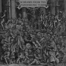 Nocturnal Vomit - Screams from the Pandemonic Tomb